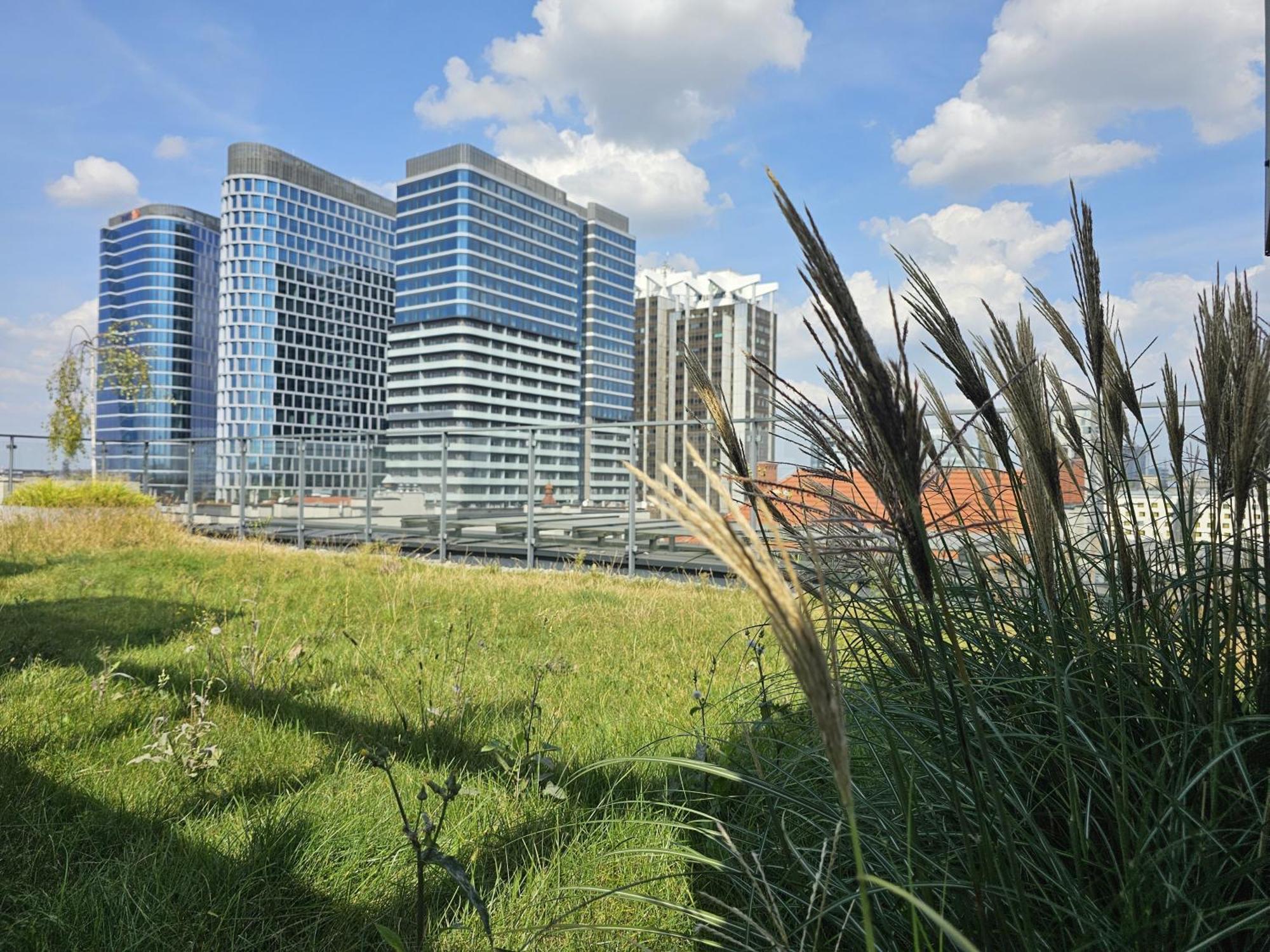 Urban Apartments Premium, Opolska 10 No 77B, Free Garage, Self Check-In Katowice Zewnętrze zdjęcie